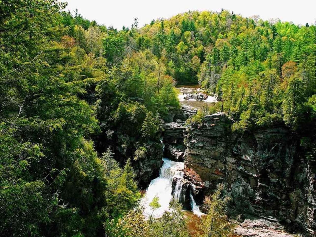 Gingercake Mtn Cottage At Linville Gorge - Wood Burning Fireplace Linville Falls Екстер'єр фото