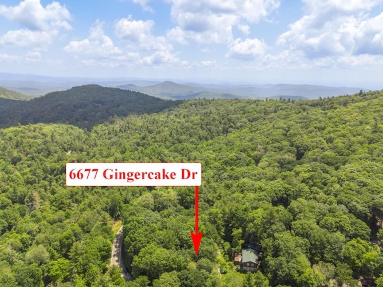 Gingercake Mtn Cottage At Linville Gorge - Wood Burning Fireplace Linville Falls Екстер'єр фото