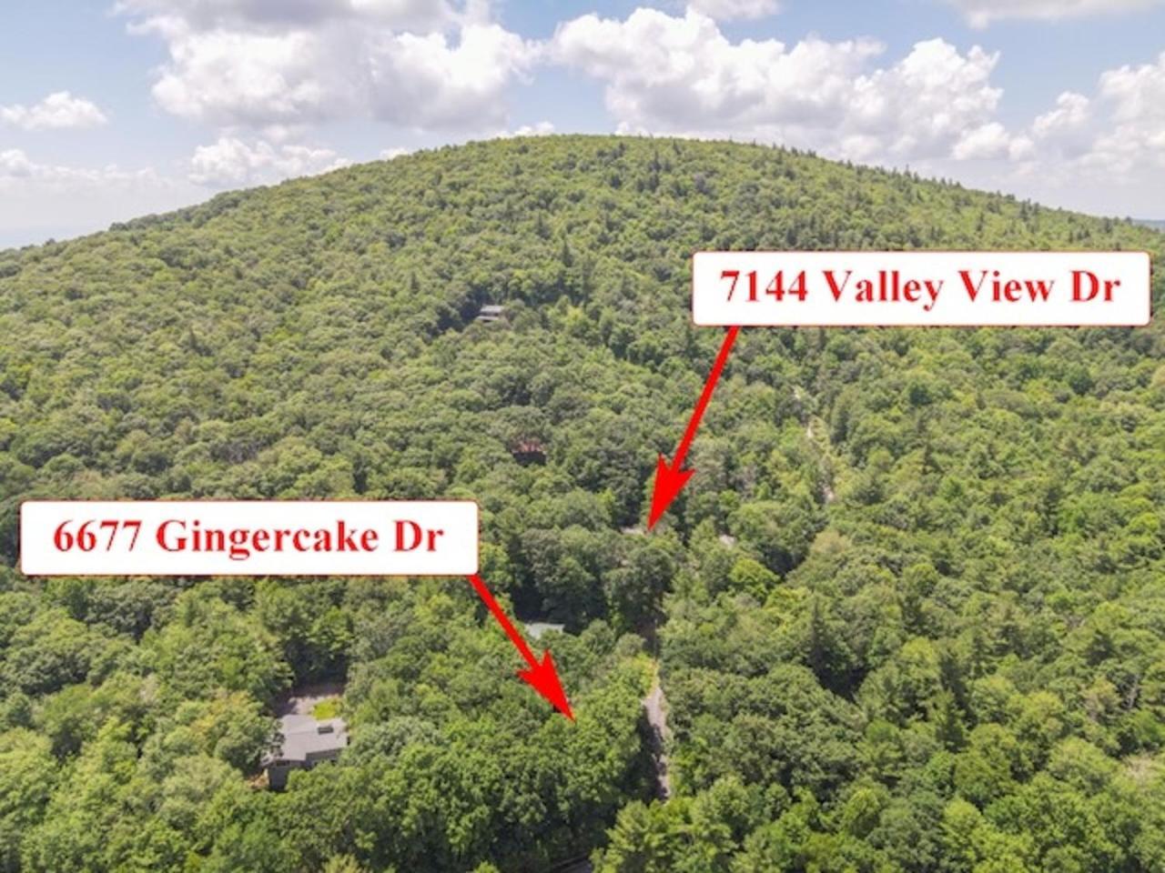 Gingercake Mtn Cottage At Linville Gorge - Wood Burning Fireplace Linville Falls Екстер'єр фото